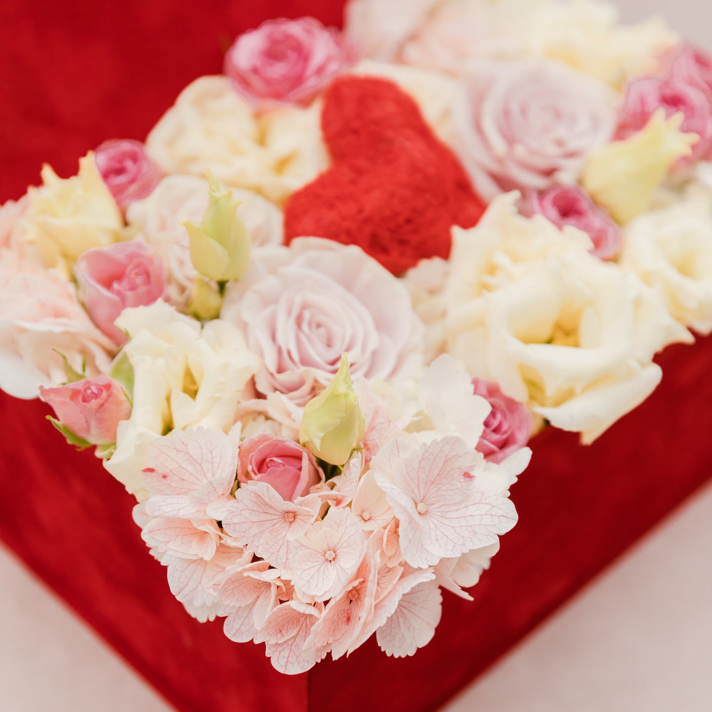 Little Heart - by Ana Macovei