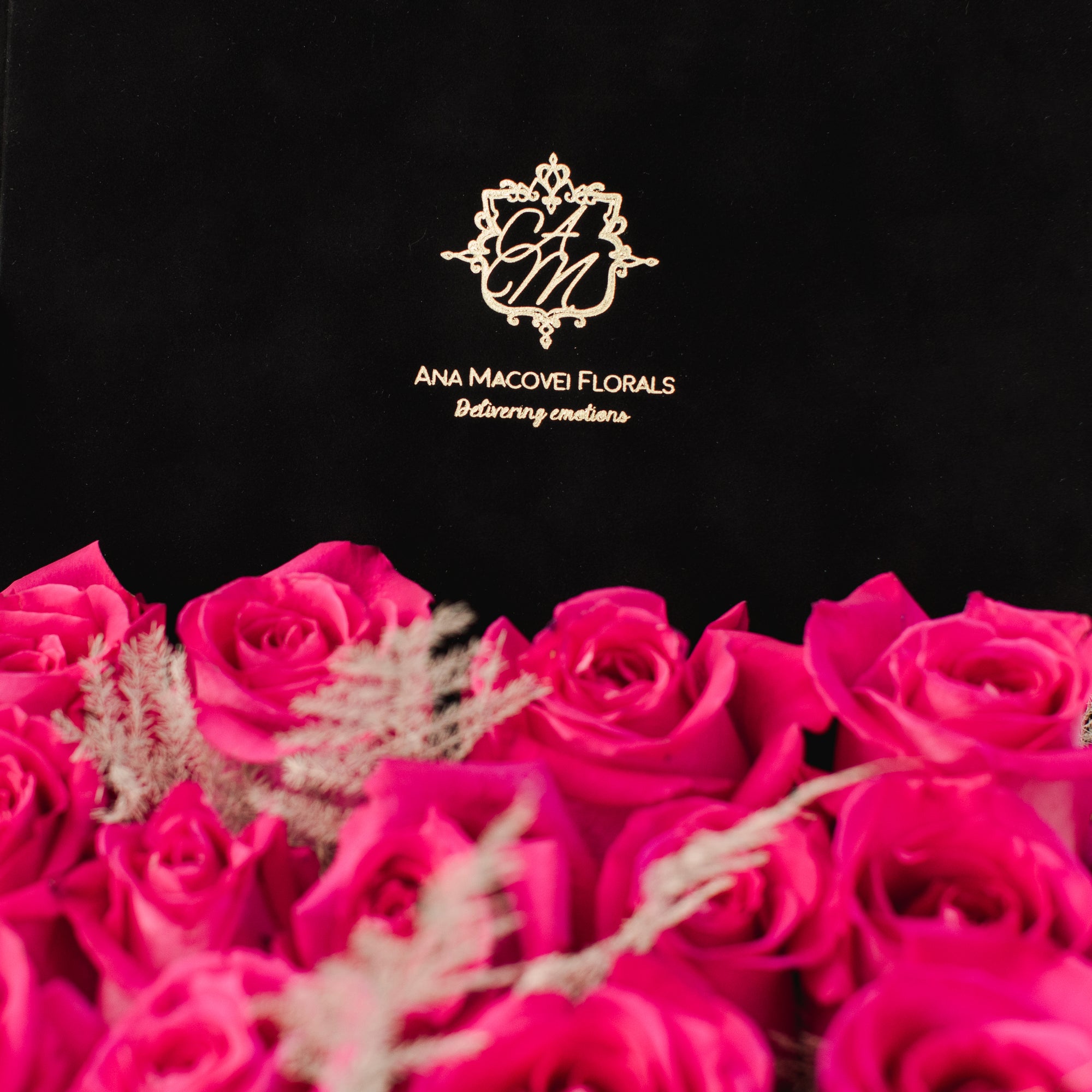 Cutia neagra cu Trandafiri fucsia - by Ana Macovei